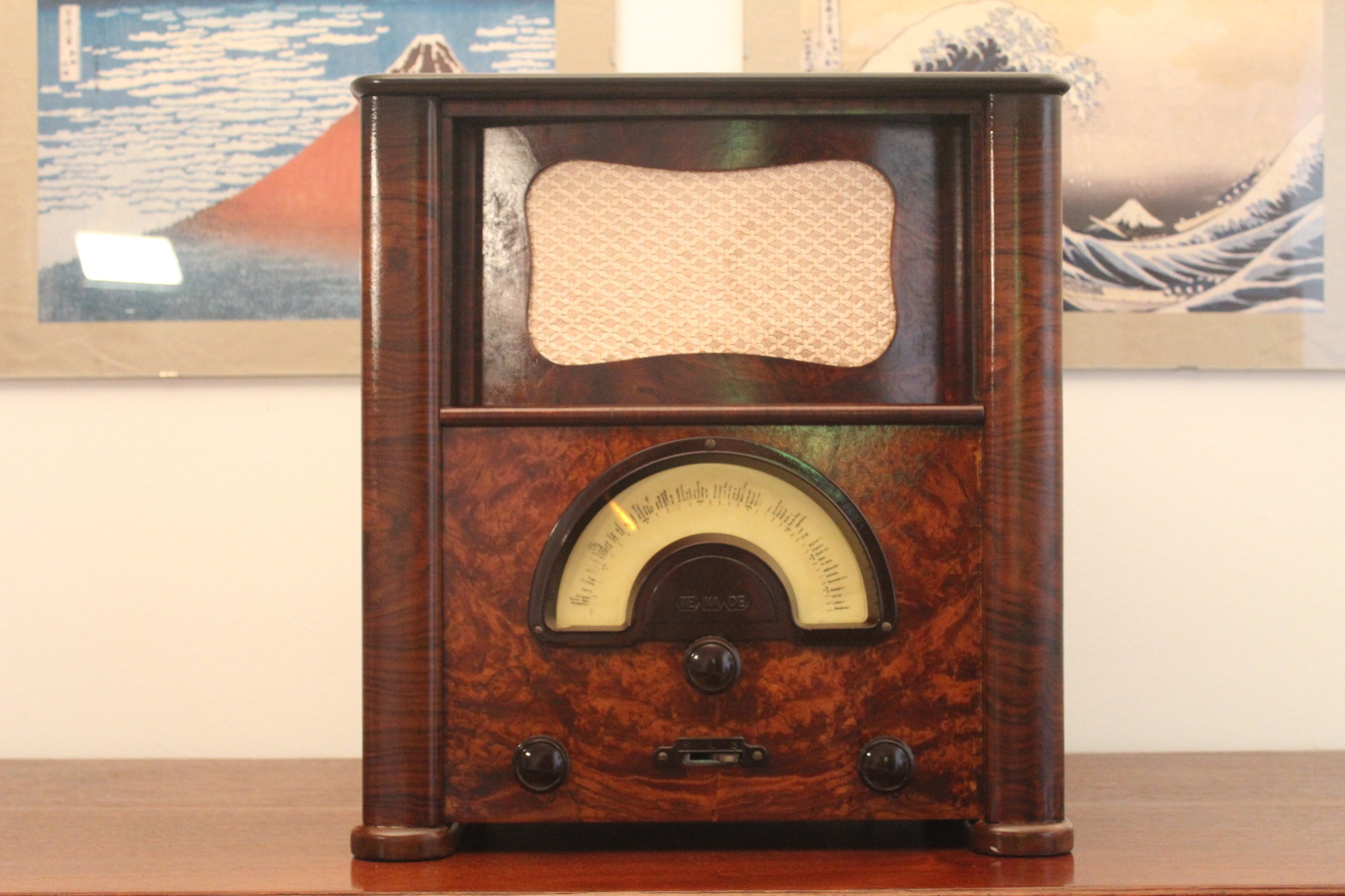 Tekade Bavaria W - Image 6